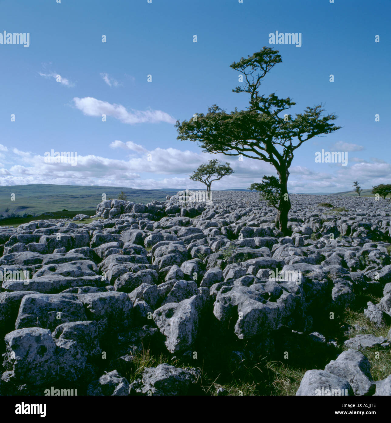 Limestone pavement above Conistone, Wharfedale, Yorkshire Dales