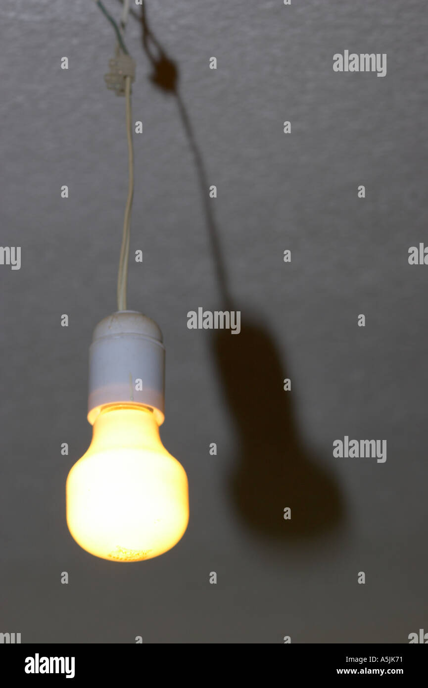 Bulb hanging from the ceiling Stock Photo Alamy