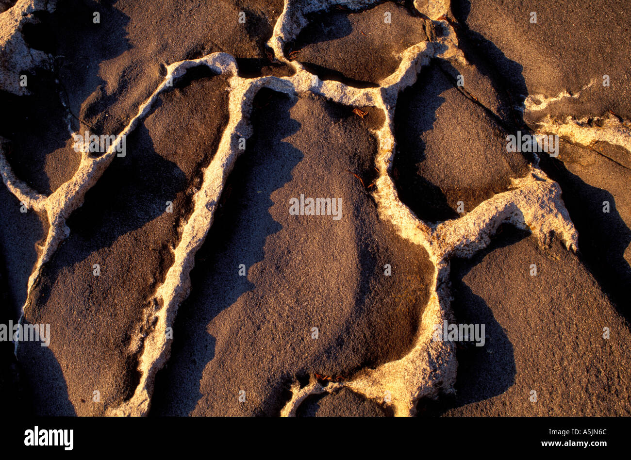 Clarks Island ME Granite Intrusion Patterns of geology Stock Photo Alamy