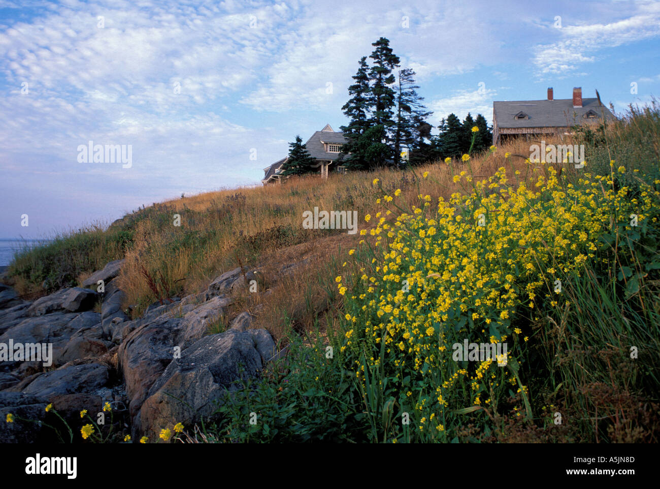 Monhegan Island ME Houses Stock Photo Alamy