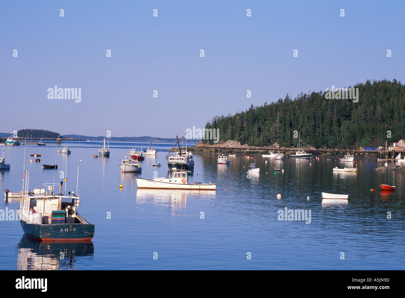 Stonington ME Stonington Harbor Lobster boats Stock Photo 3698076 Alamy