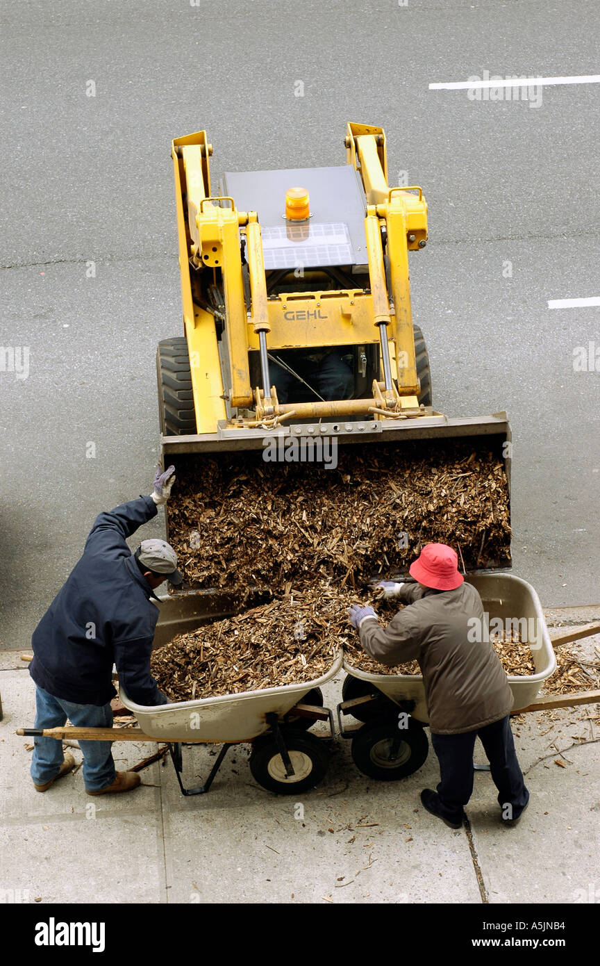 Gardeners receive delivery of mulch for spring planting Stock Photo Alamy