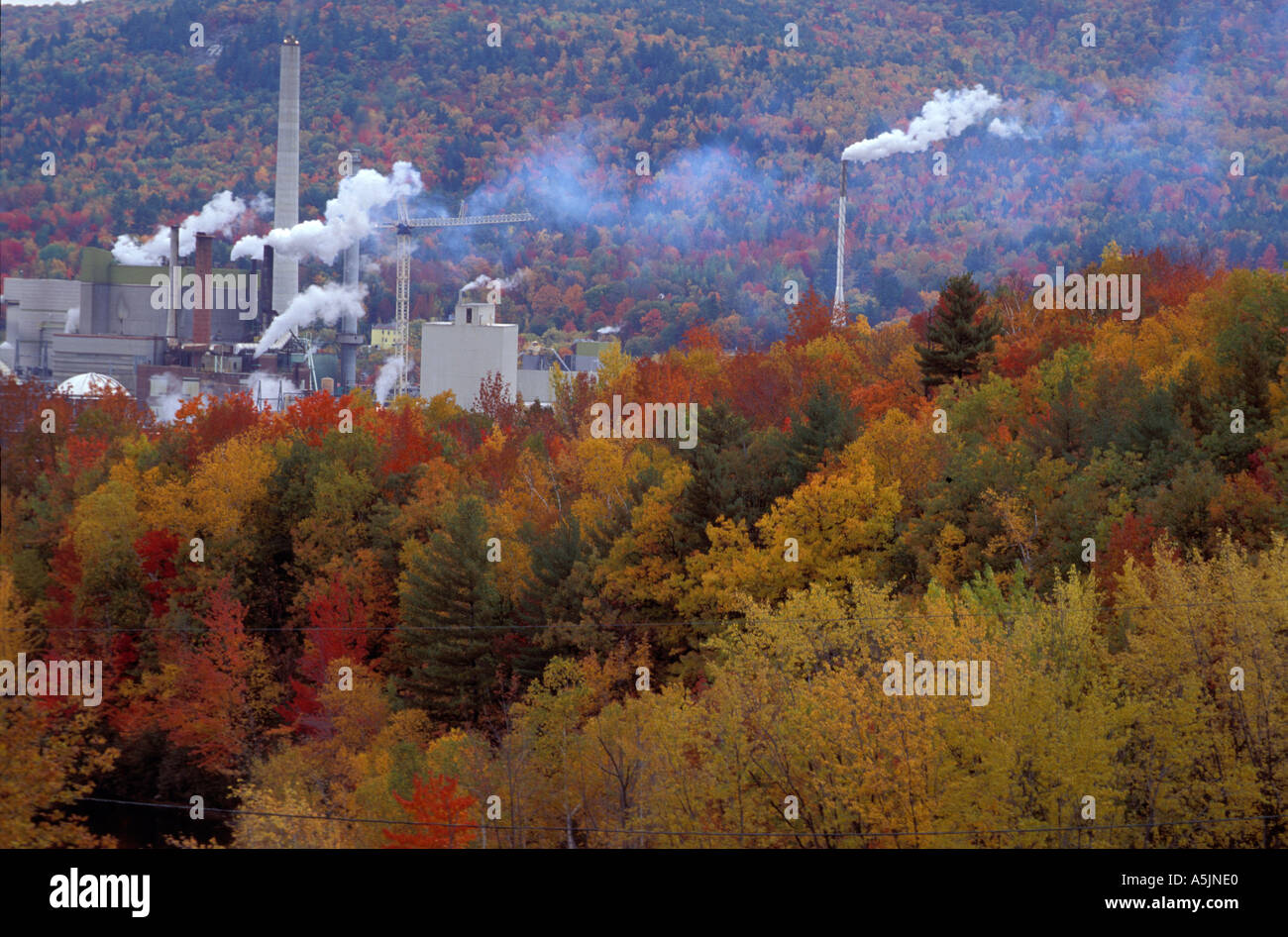 Boise cascade hires stock photography and images Alamy
