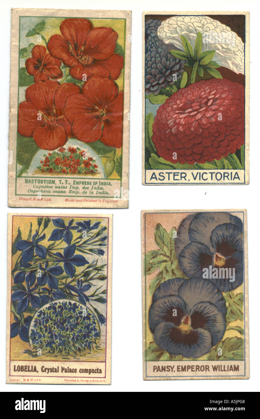 Packets of flower seeds circa 1890 Stock Photo