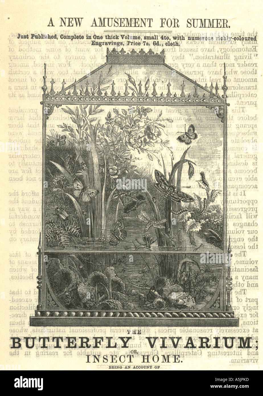 Butterfly Vivarium advertising leaflet 1858 Stock Photo