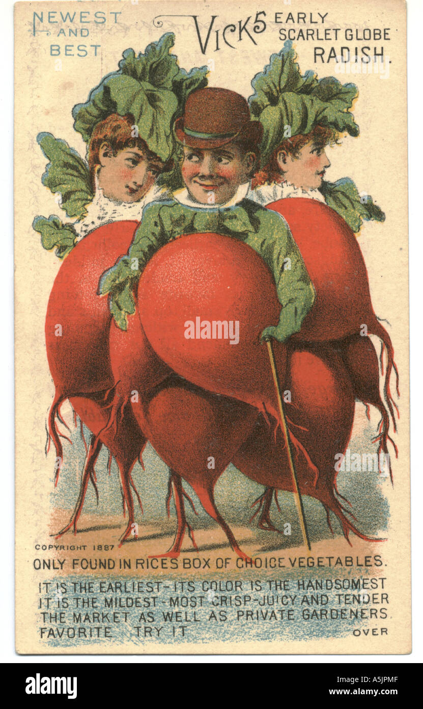 American trade card for Rice's Seeds featuring Vick's Early Scarlet Globe Radish Stock Photo