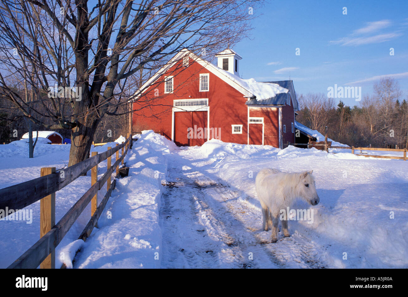 A Pony And A Barn Near The Lamprey River In Winter Lee Nh Stock