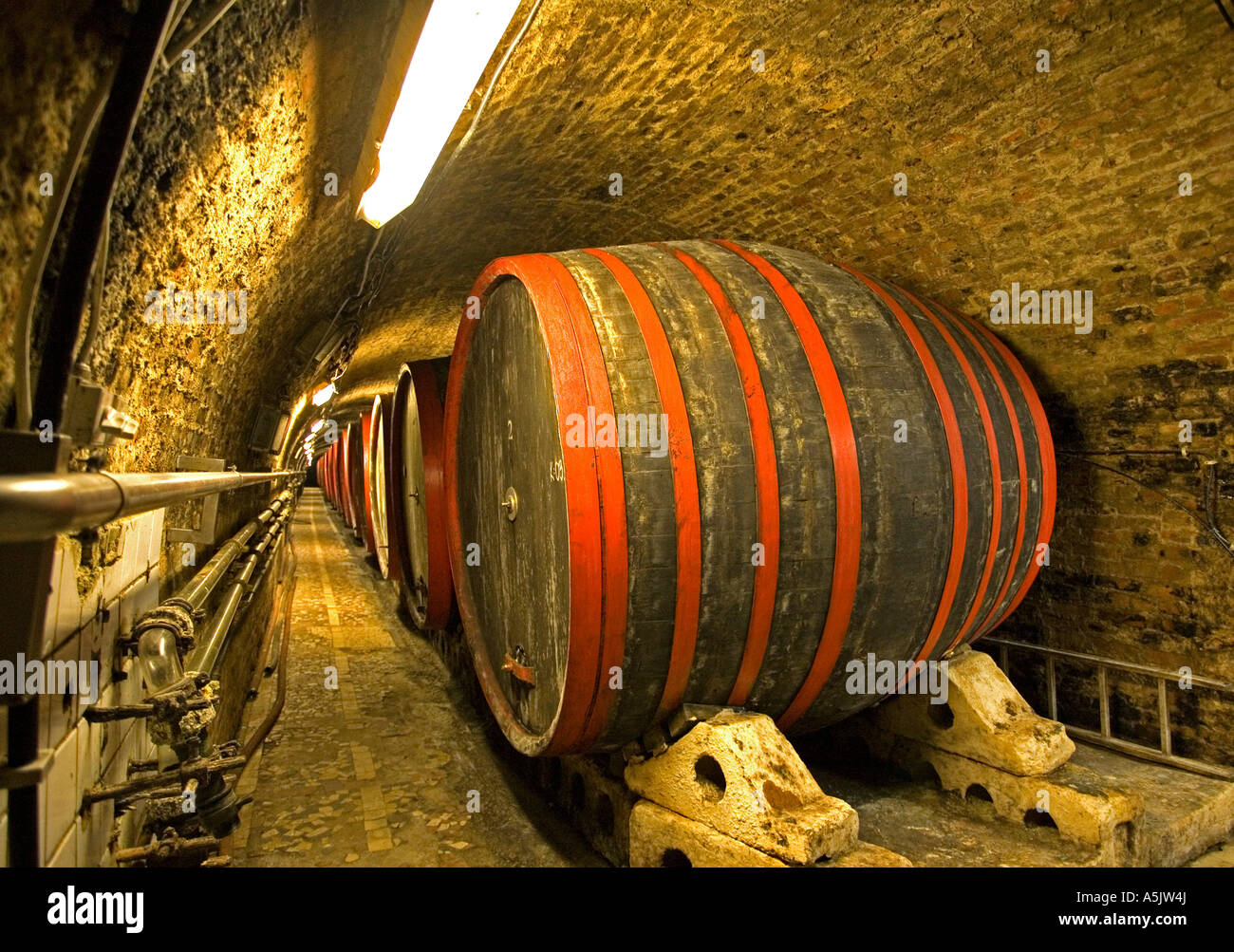 Villany, 9000 l wine cask in the biggest wine cellar of Villany, Pecs