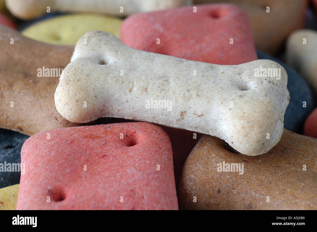 Dog Biscuits Stock Photo
