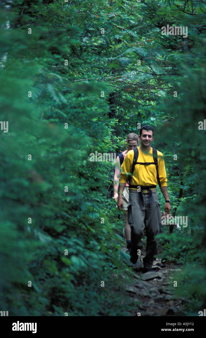 White Mountain National Forest Hiking between Stairs Mountain and Mt