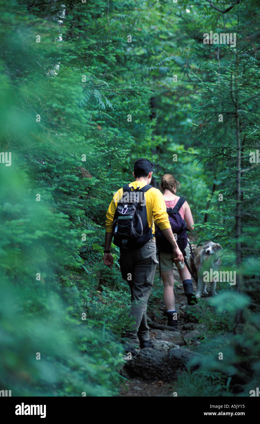 White Mountain National Forest Hiking between Stairs Mountain and Mt