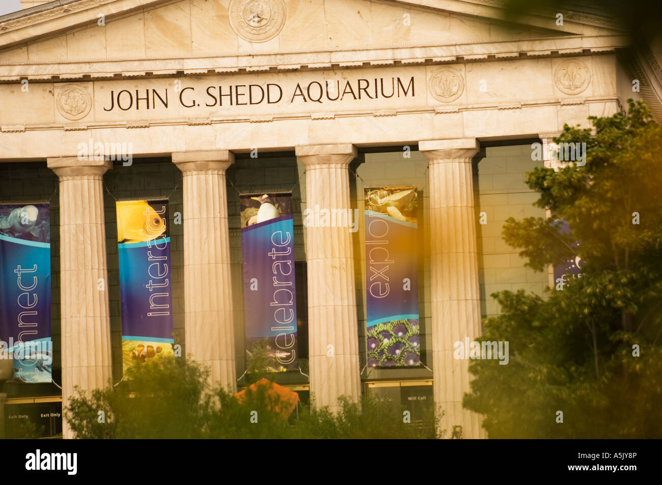Front entrance to the Shedd Aquarium Chicago Illinois Stock Photo Alamy