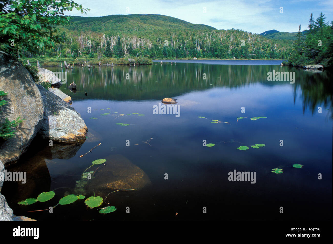 Flat Mountain Pond Sandwich Range Wilderness White Mountain N F