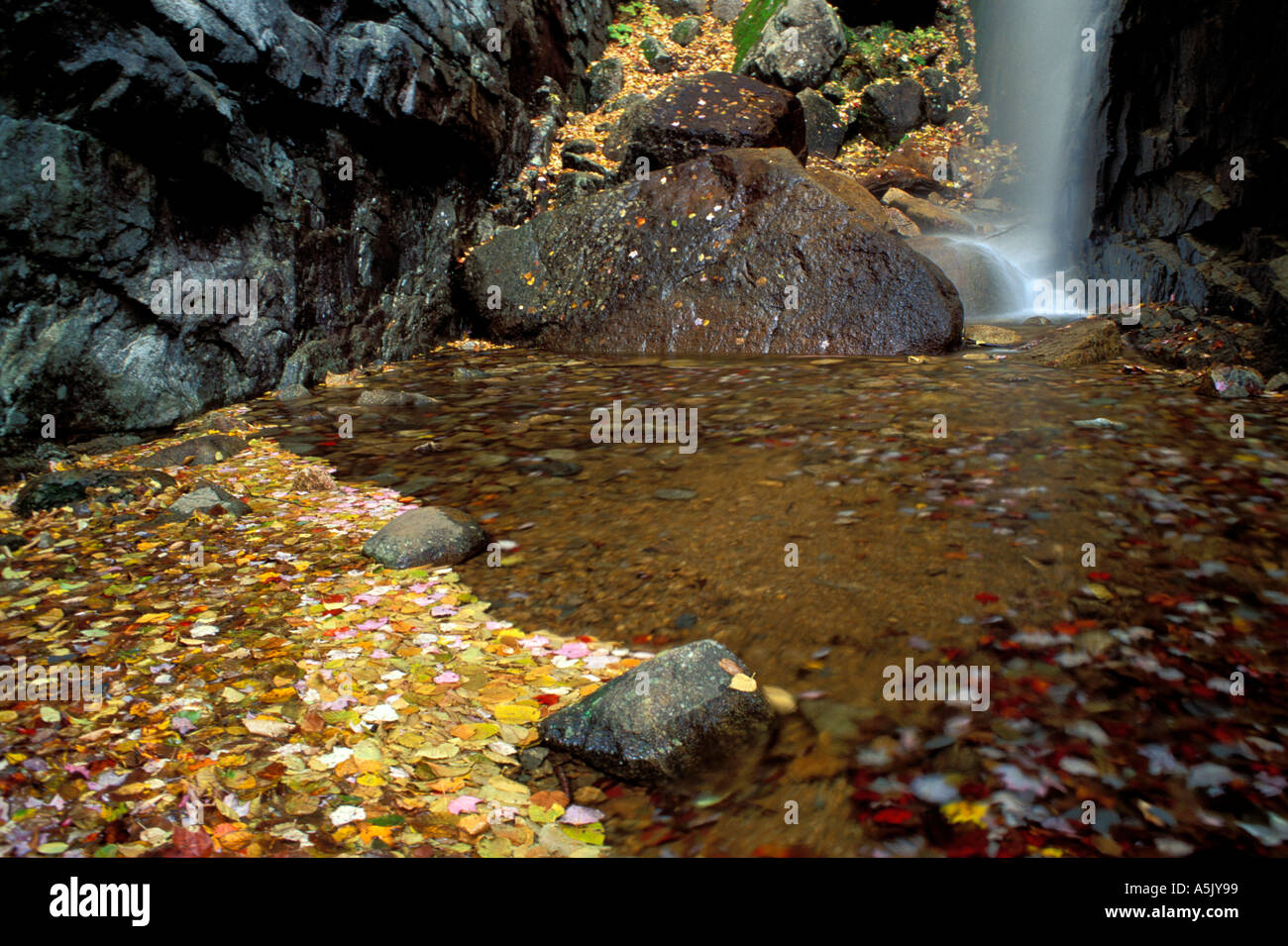 Fall Waterfalls Pitcher Falls in New Hampshire s White Mountains near