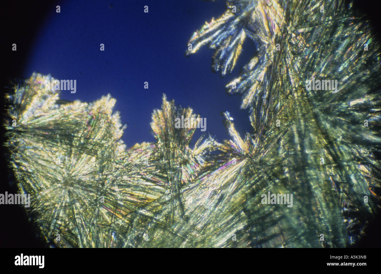 cupric chloride crystals viewed through microscope using cross