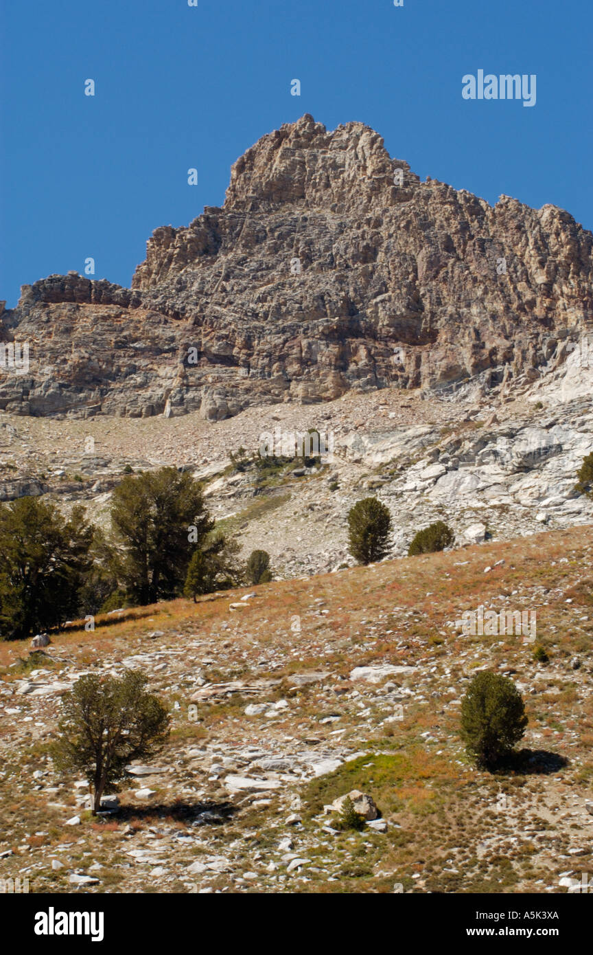 Rugged mountain peak with clear blue sky and sparse vegetation Stock ...