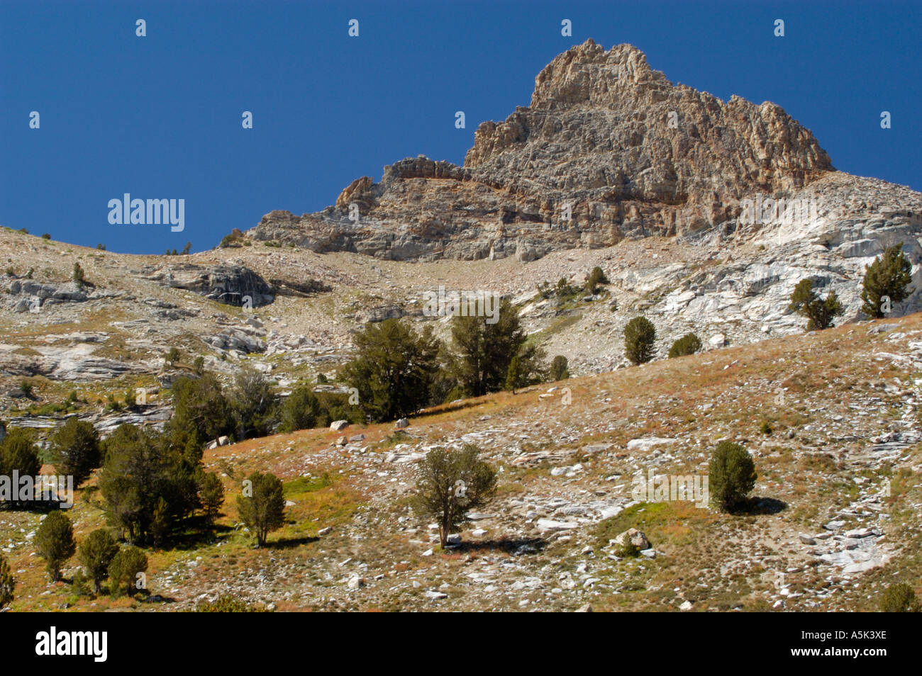 Rugged mountain peak with clear blue sky and sparse vegetation Stock ...