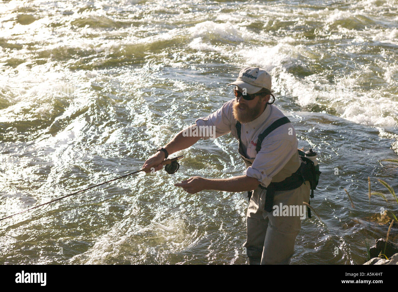 Fly Fishing On Colorado'S Arkansas River Stock Photo Alamy