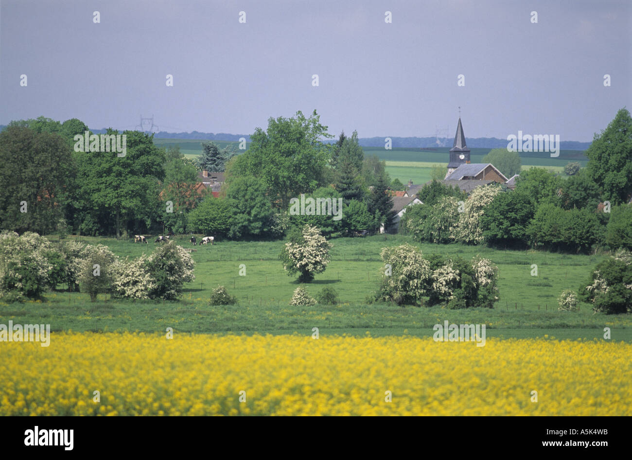 Typical French village in Artois (Northern France Stock Photo Alamy