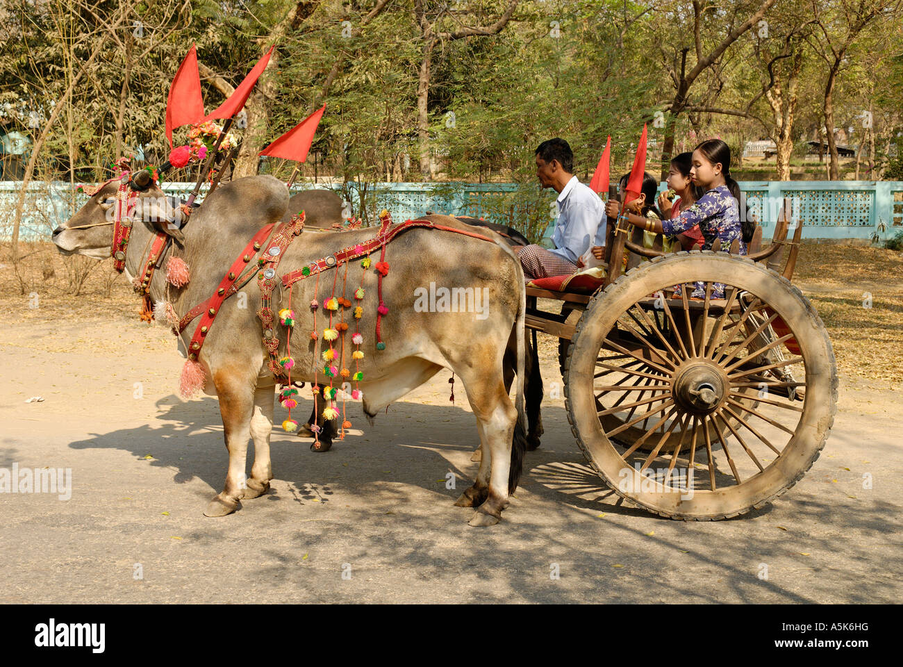 Decorated oxcart, Bagan, Myanmar Stock Photo - Alamy