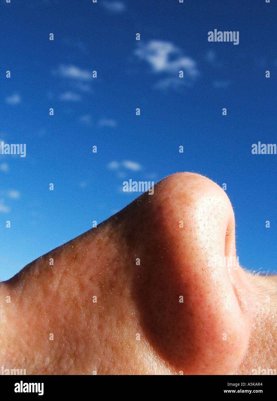 Detail of a nose. Stock Photo