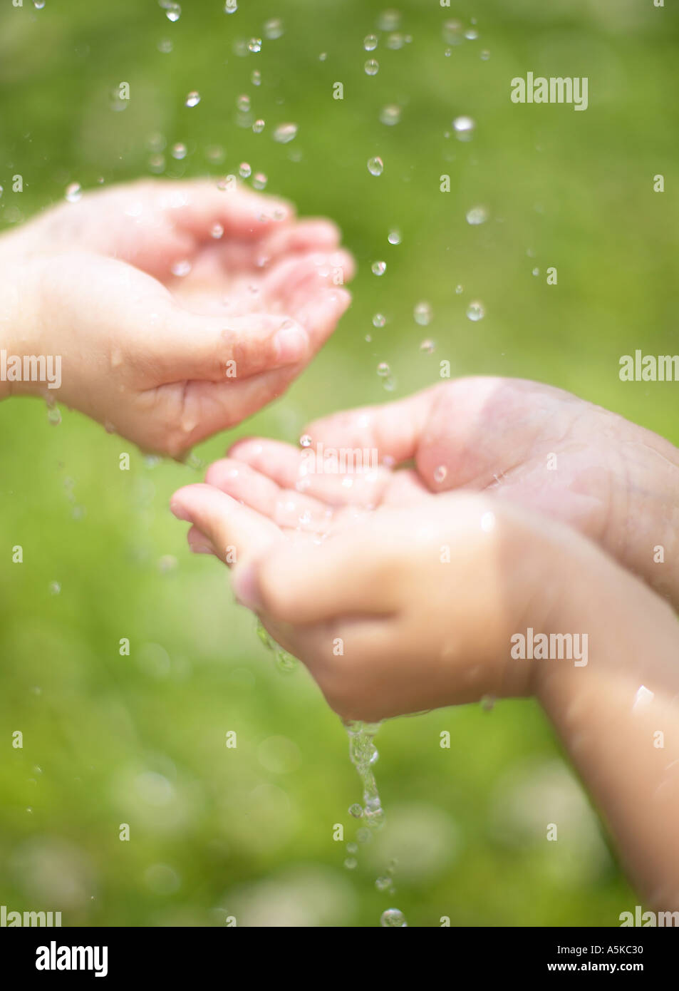 Two pair of hands catching water drops Stock Photo Alamy