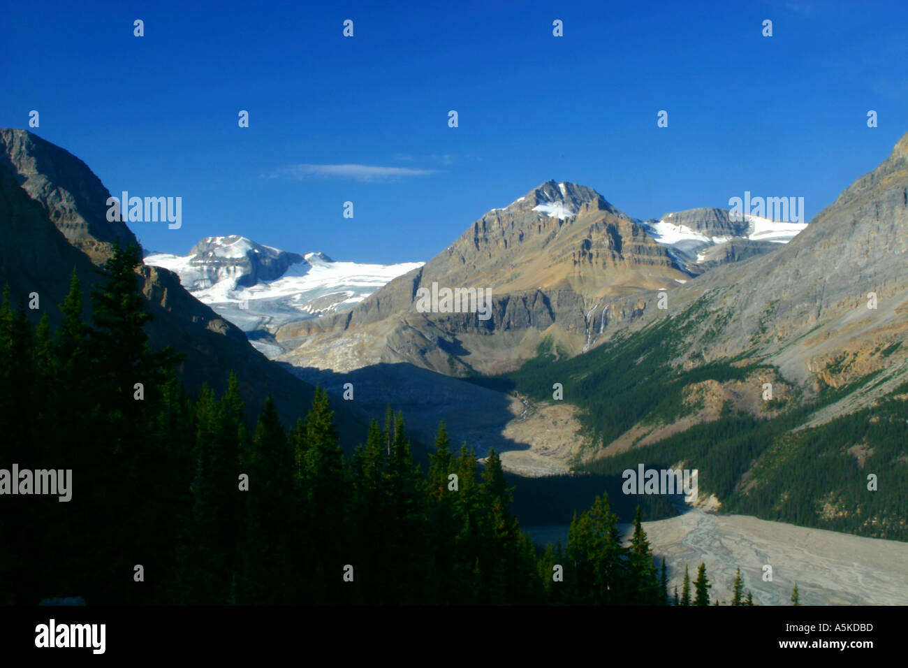 Horizontal Peyto Lake in the Canadian Rocky Mountains Banff National ...
