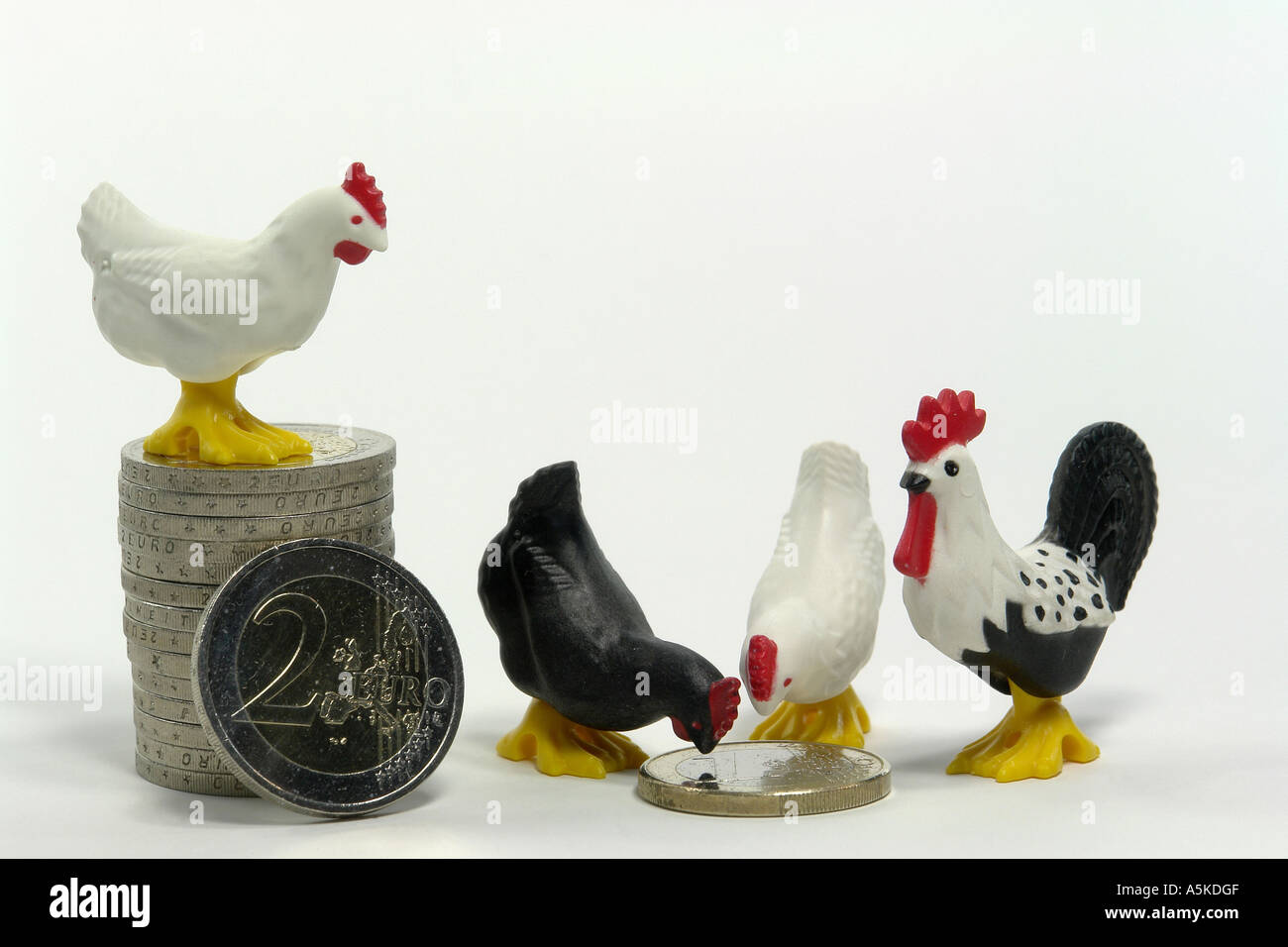 Symbol picture for the costs cause by the bird flu (investigations, disposal of dead animals, clearing-up Stock Photo