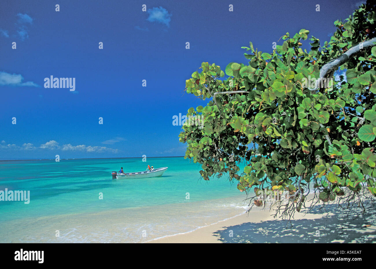 Bacardi Island Holidays Bacardi Island Holidays