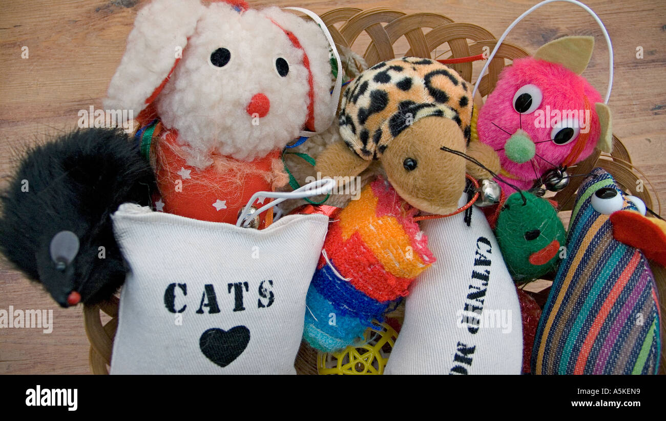 Basket of toys for a pet cat The market for petlovers is a lucrative one Stock Photo