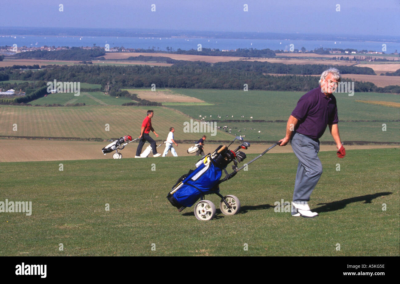 golfers freshwater golf course isle of wight England UK Stock Photo Alamy