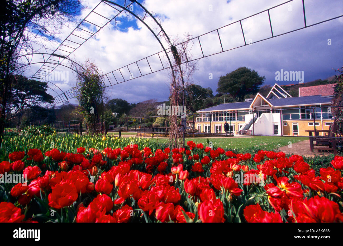 Ventnor Botanical Gardens Isle of Wight England UK Stock Photo Alamy
