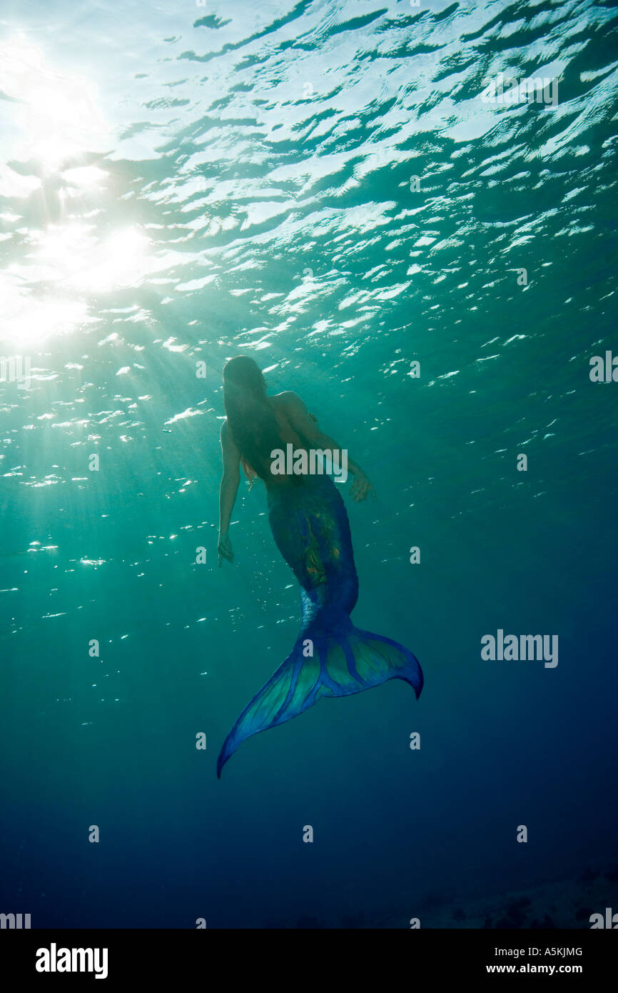 Mermaid freediving Cozumel Mexico Stock Photo