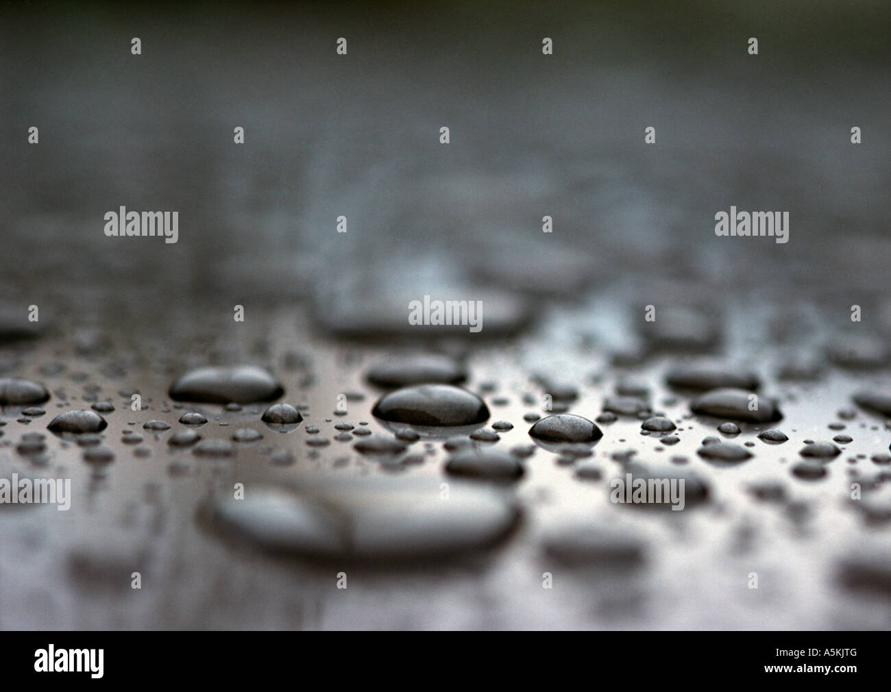 Closeup of water droplets Stock Photo