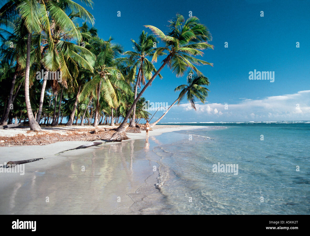 Puerto Rico beach near Gilligan s Island USAir ad poster site Stock Photo
