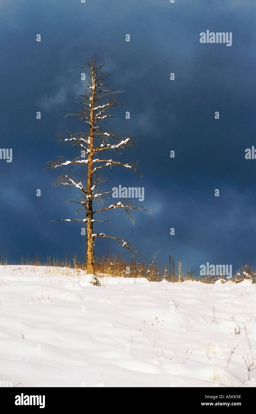 Mount Falcon Park in Colorado 1996 Stock Photo Alamy