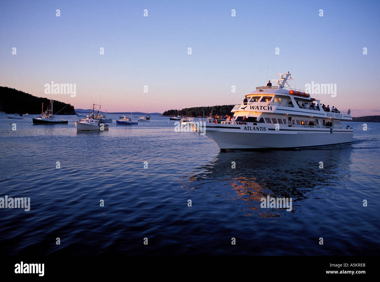 Bar Harbor ME Whale Watching Boat Frenchman Bay Stock Photo Alamy