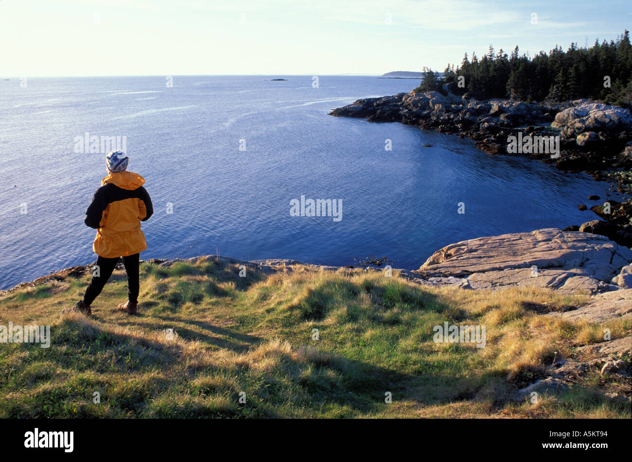 Hiker looking down on Penobscot Bay from hill Stock Photo