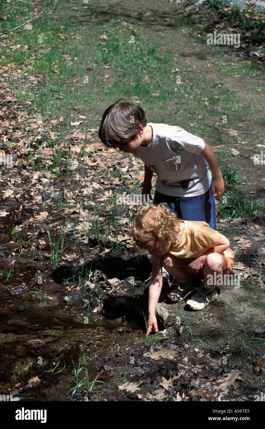 A young boy and girl examine a small stream at the recently protected Sawyer Richardson Property Boxford MA Stock Photo