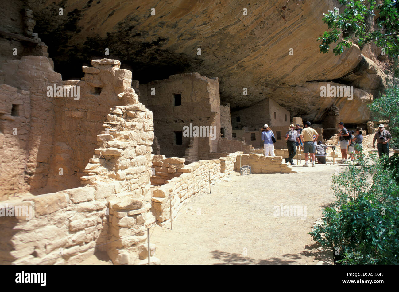 Mesa Verde National Park CO Spruce Tree House ruins Anasazi Ancient ...