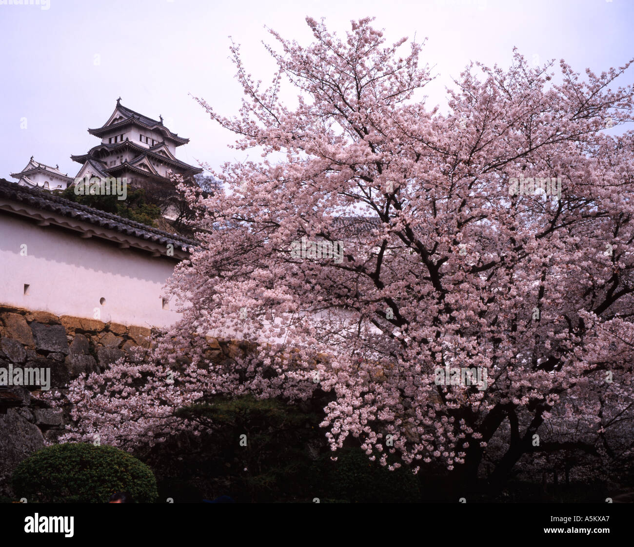 Japan Castles Spring Spring at Hemeji Castle Japan Stock Photo - Alamy