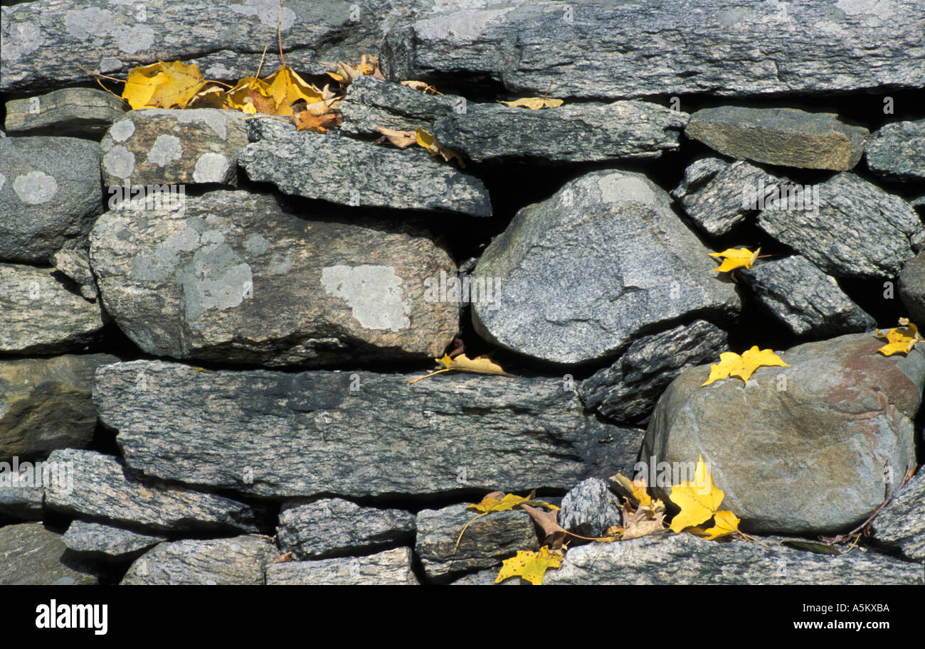 Closeup of rock wall with autumn leaves Stock Photo