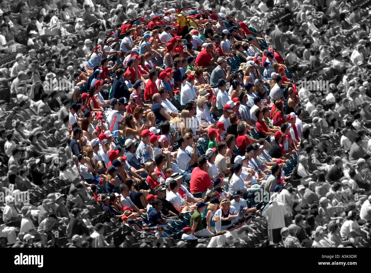 large-crowd-watching-baseball-game-stock-photo-alamy
