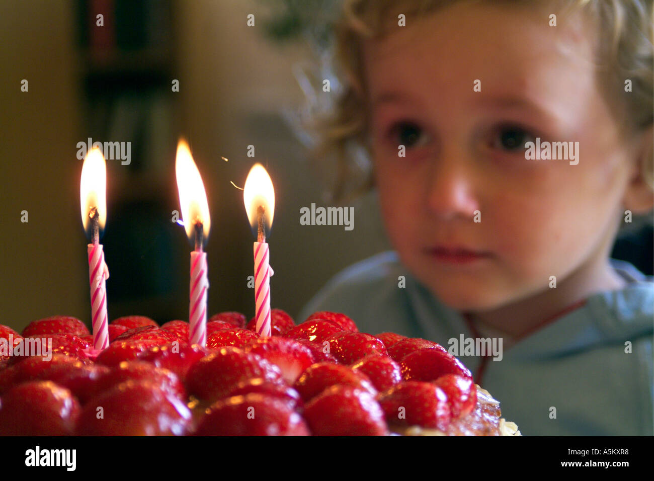 Three year old girl child making a wish before blowing out the candles on her birthday cake Stock Photo