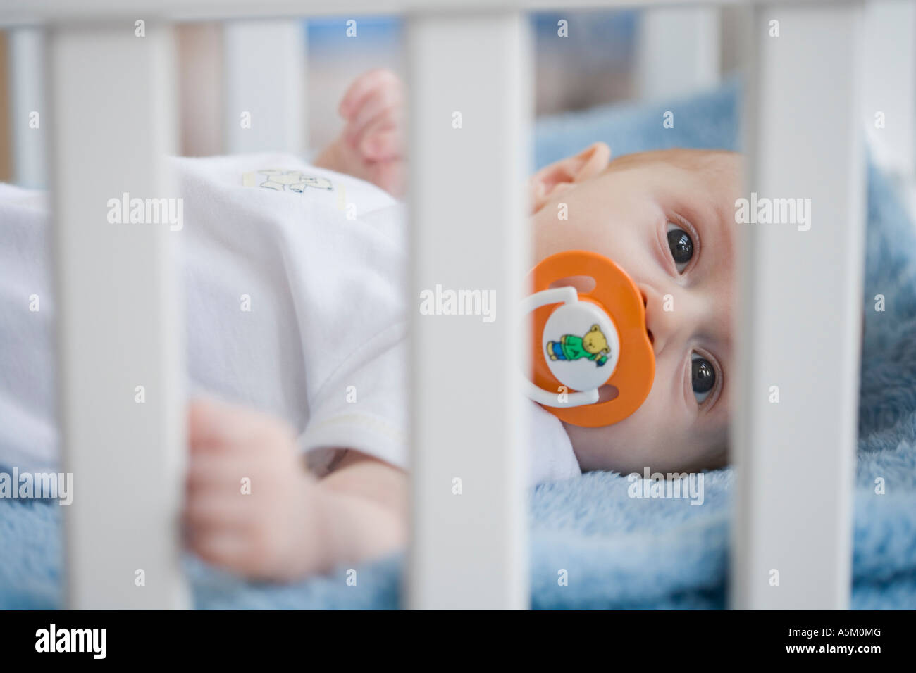 Baby in crib with pacifier Stock Photo Alamy