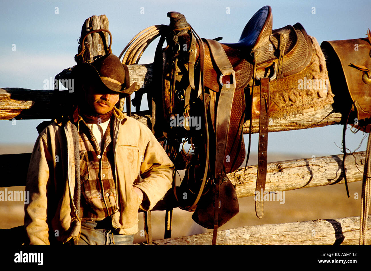 real working cowboy in arizona Stock Photo