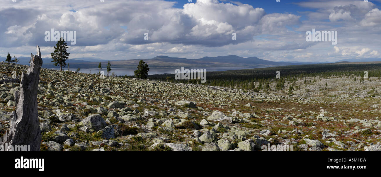 Panorama of the Fjäll near Elga, Norway (near lake Femunden) Stock Photo