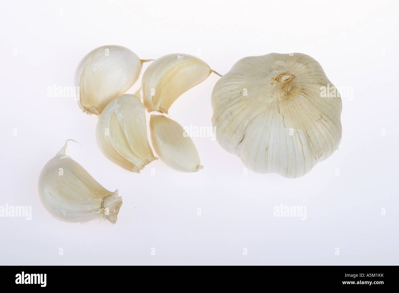 garlic bulb and cloves on a white background Stock Photo - Alamy