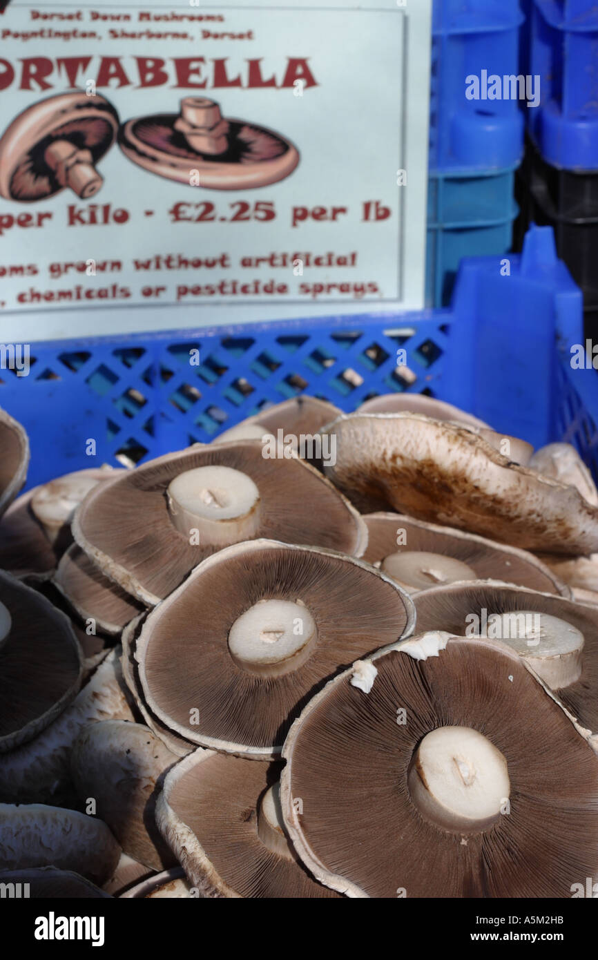 Organic Portabella Mushrooms Stock Photo Alamy