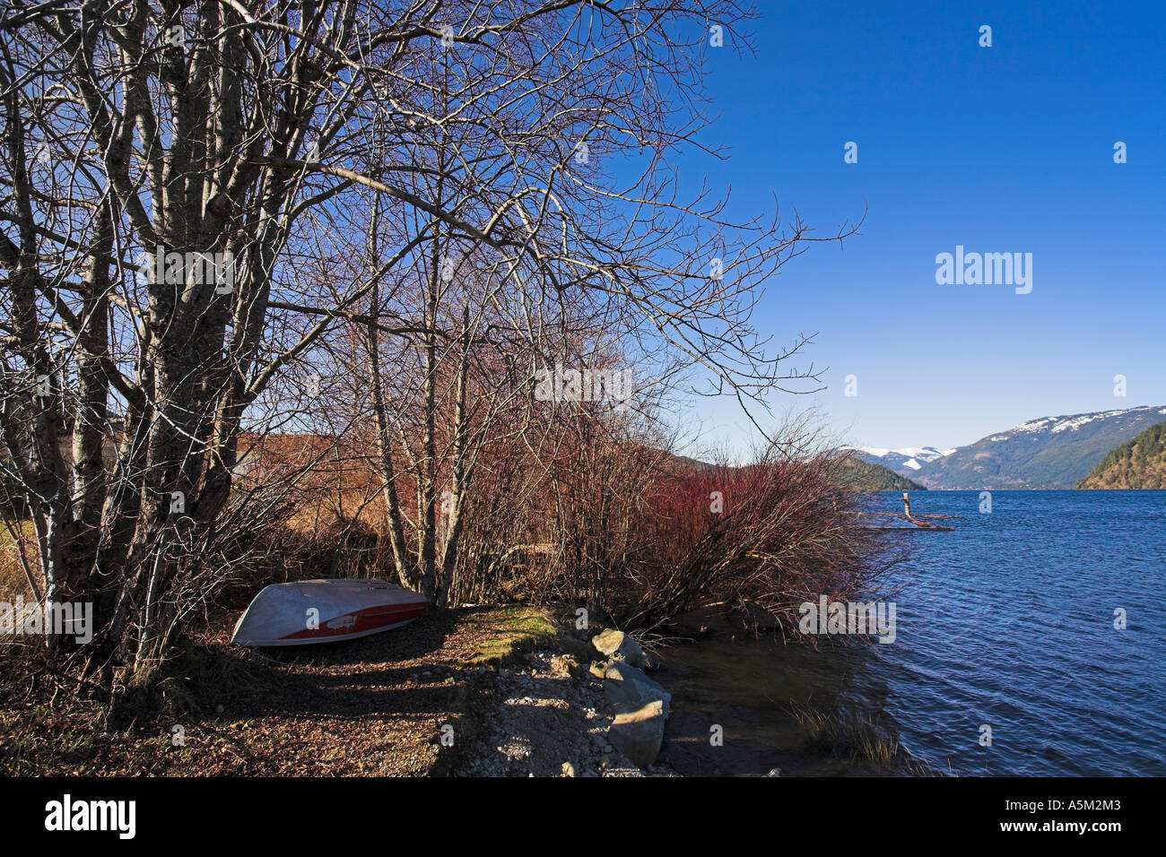 Old boat hidden in trees Cowichan Lake Vancouver Island British Columbia Canada Stock Photo Alamy